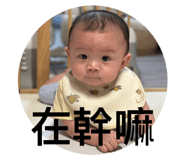 856863001