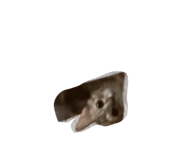 856865344