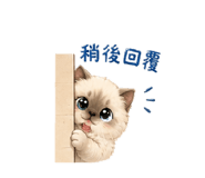 856868893