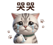 856869011