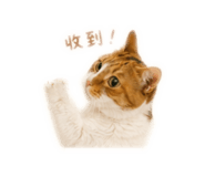 856869172