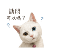 856869531