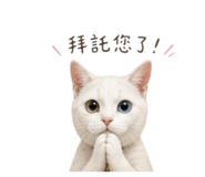 856869532