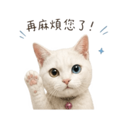 856869533