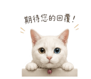 856869534