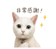 856869536