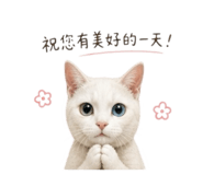 856869538
