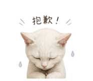 856869539