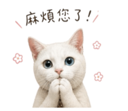 856869540