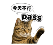856869671
