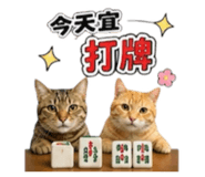 856869674