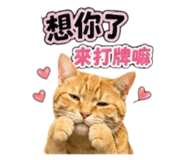 856869677