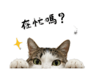 856870125