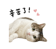 856870131