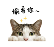 856870133
