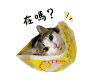 856870136