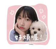 856870709