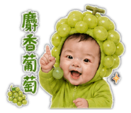 856870866