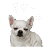 856871035