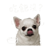 856871037