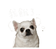 856871041