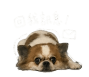 856871042