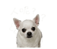 856871043