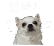 856871045