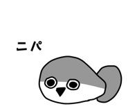 856872849