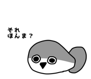 856872850