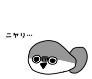 856872851
