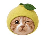856873470