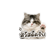 856874865