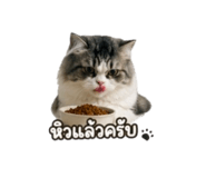 856874869