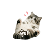 856874870