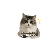 856874873