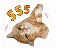 856874982
