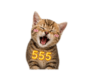 856876626