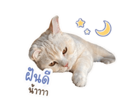 856877139