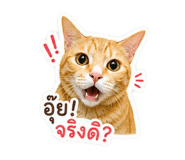 856878142