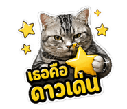 856878540