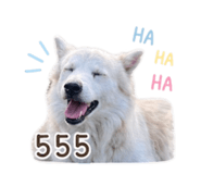 856879059