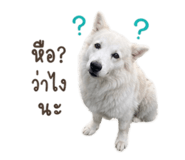 856879061