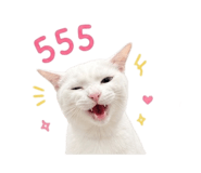 856879250