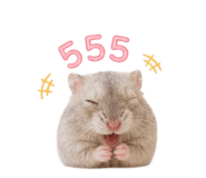 856879437