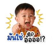 856879633