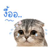 856880276