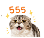 856880290