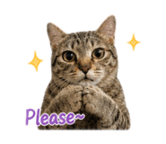 856881005