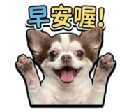 856882529